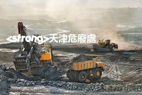 <strong>天津危廢處理公司排名前十名名單如何安全處理危險廢棄物？</strong>